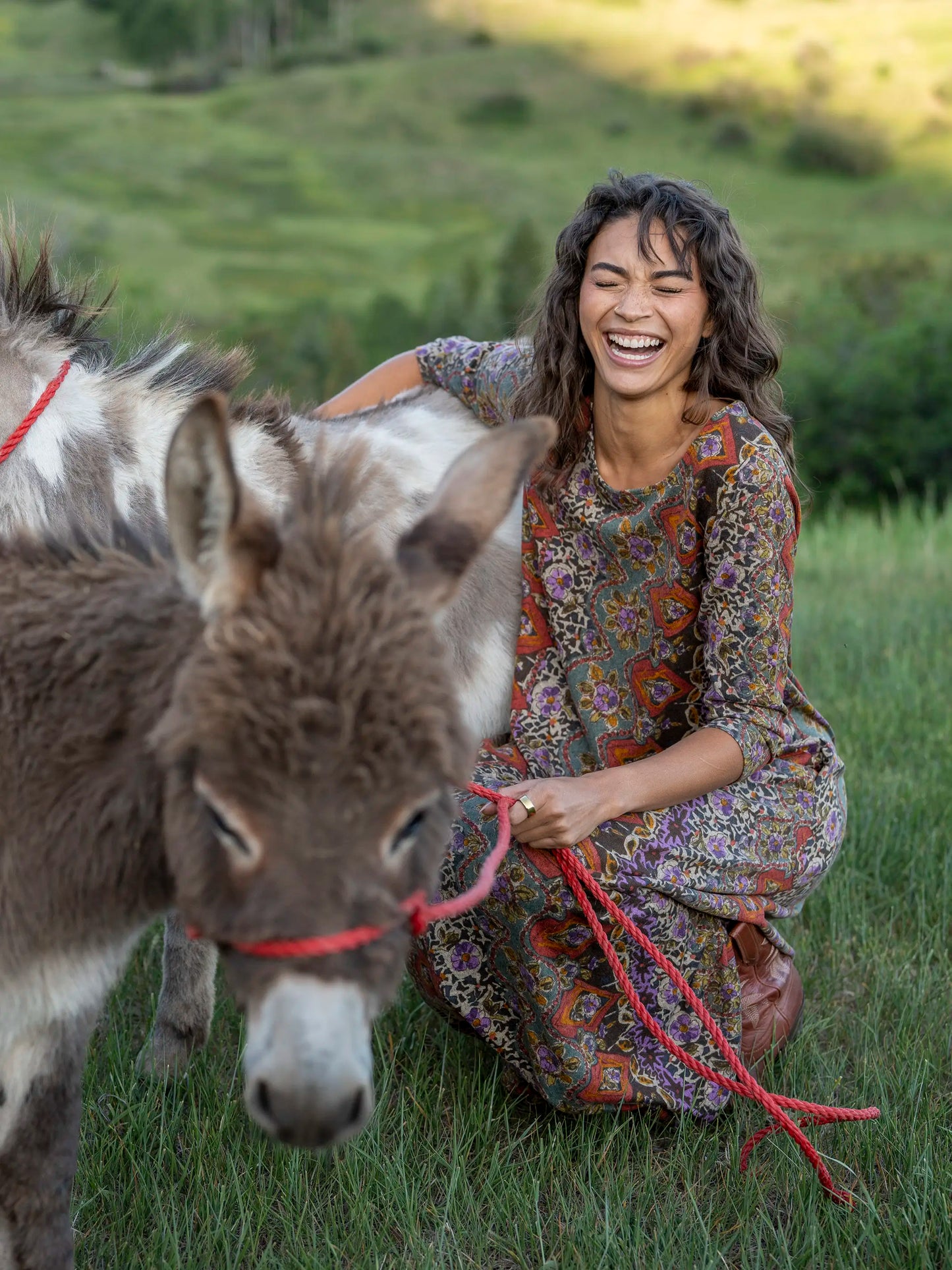 Lottie Sweater Knit Maxi Dress - Brown Tuscany Border