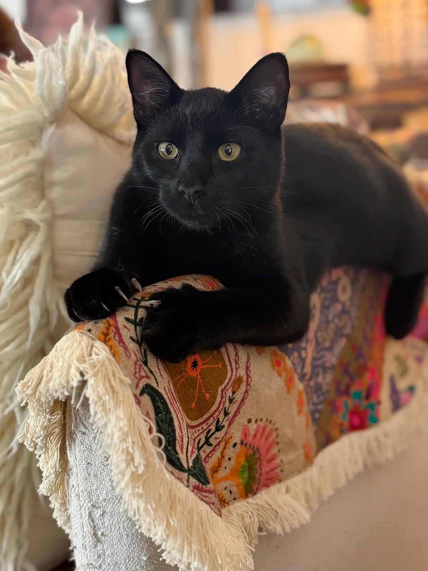 Mom's Favorite Sofa Cover - Mandala Folk Patchwork