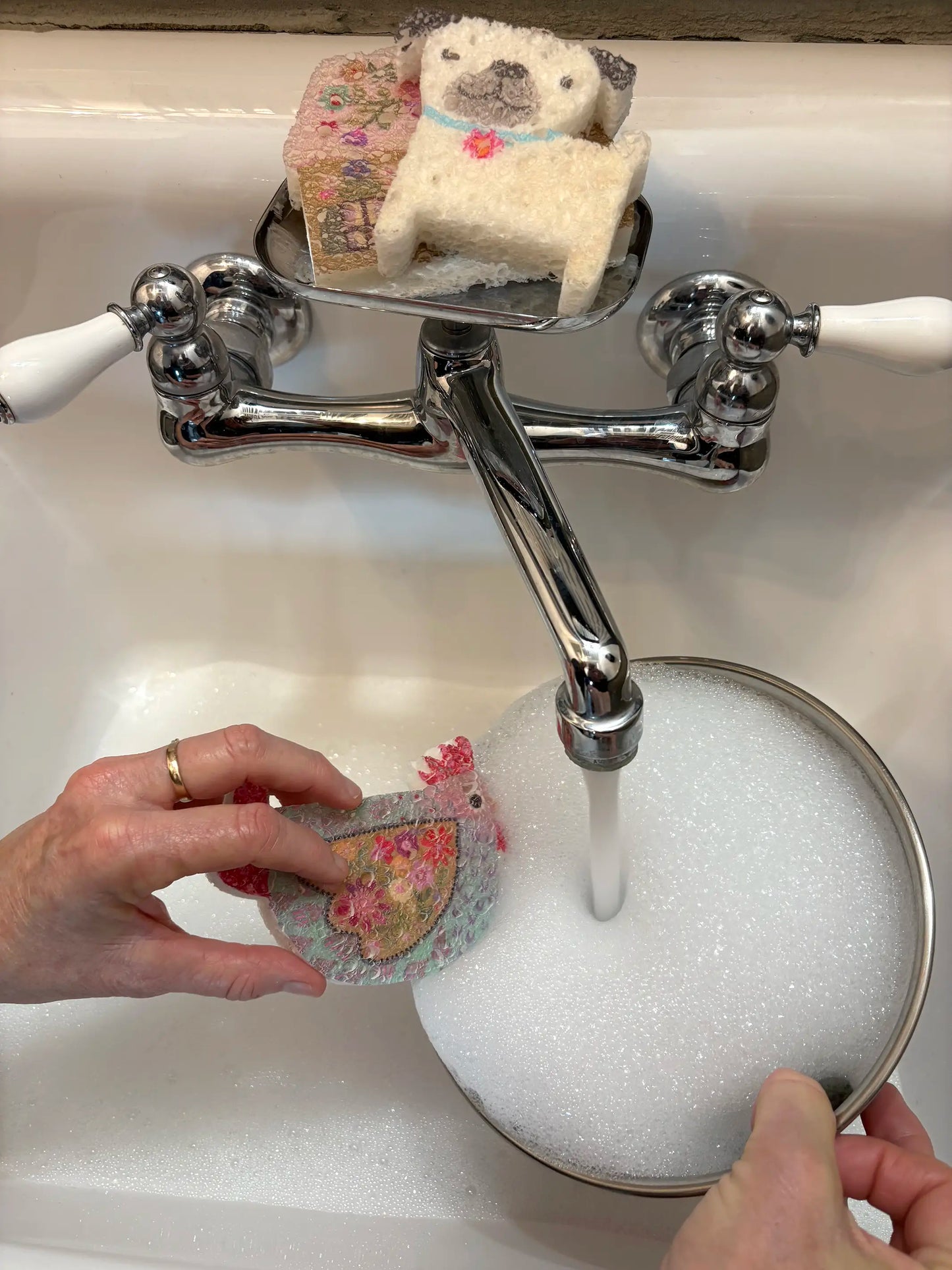 Puff Up Sponges, Set of 5 - Dog