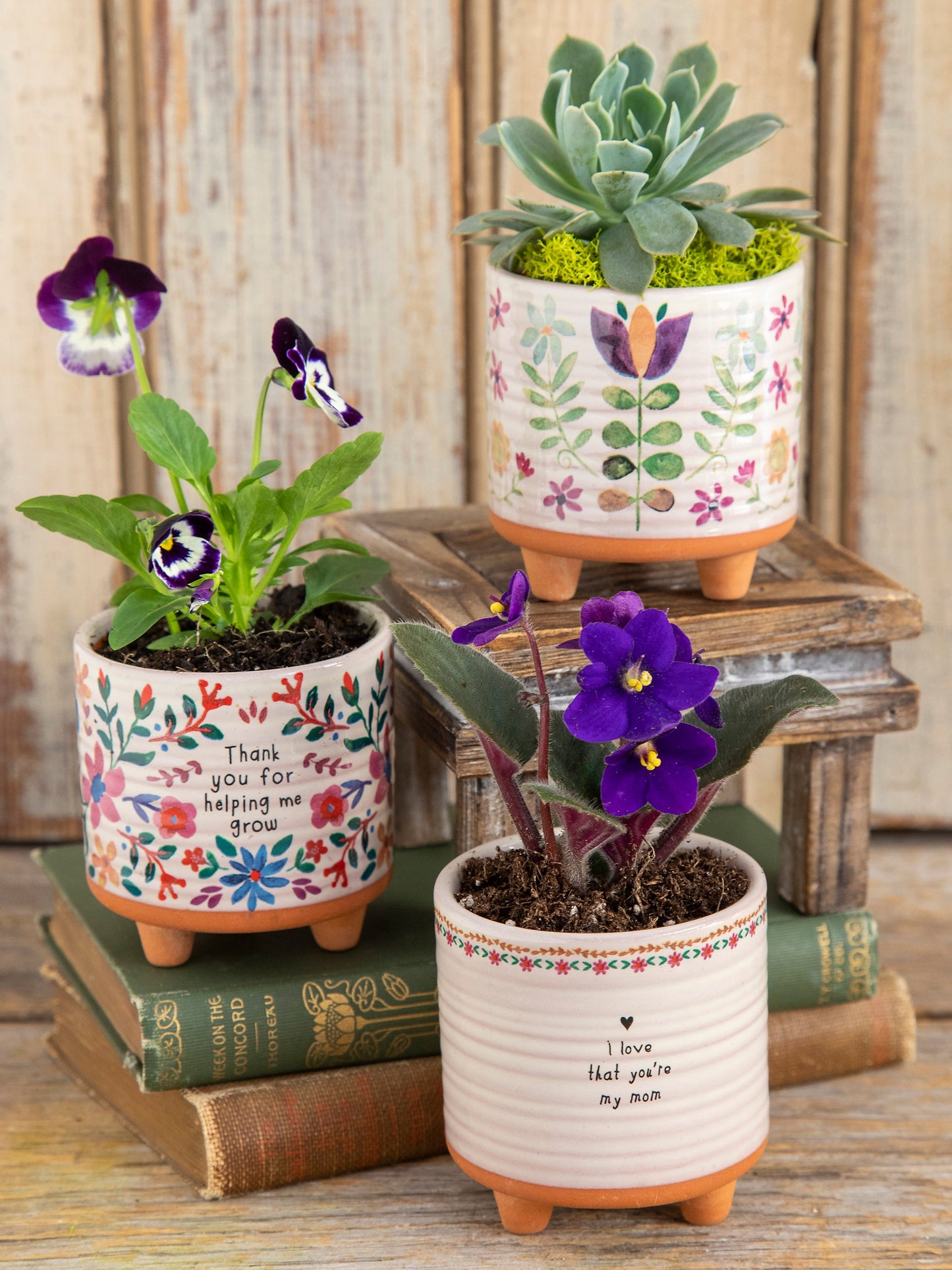 Mini Artisan Planter - Folk Flower